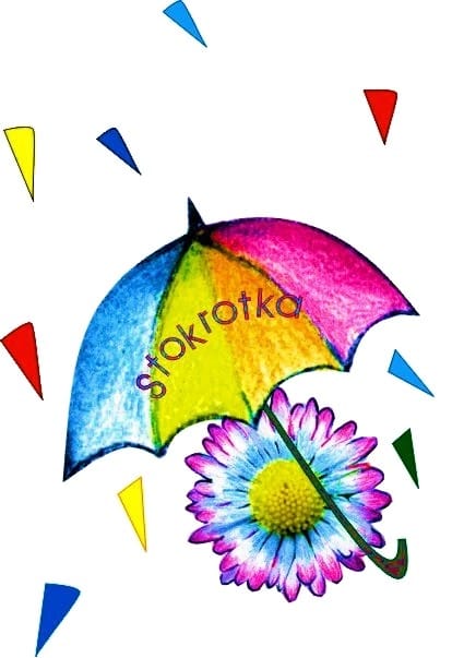 stokrotka